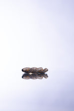 Load image into Gallery viewer, Icy Barbwire Ring